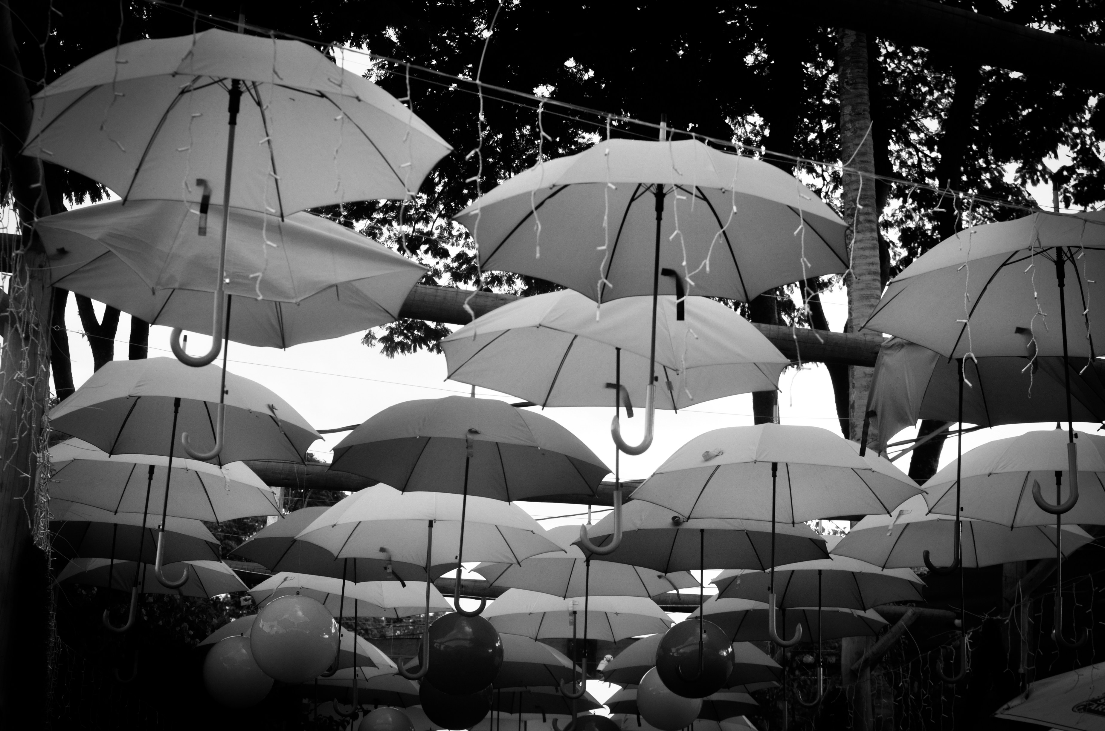 umbrellas
